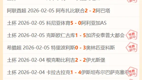 韦思佳红土赛季遭遇连败，开局不理想